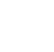 Grupo Novo